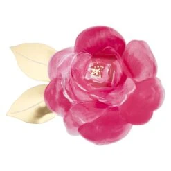 Meri-Meri Rose Garden Plates (x 8) 15 Meri-Meri Rose Garden Plates (x 8) -Party Supply Discount Store media 22620a17 7a8c 4a6b b6a7 8f2c5e773624