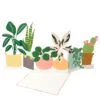 Meri-Meri Potted Plant Card